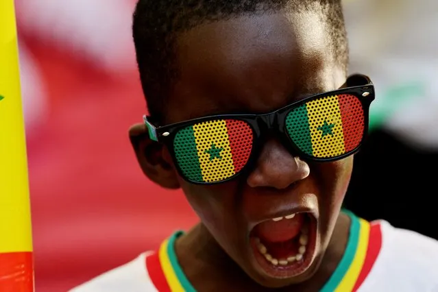 A Senegal fan before the World Cup group A soccer match between Qatar and Senegal, at the Al Thumama Stadium in Doha, Qatar, Friday, November 25, 2022. (Photo by Amr Abdallah Dalsh/Reuters)