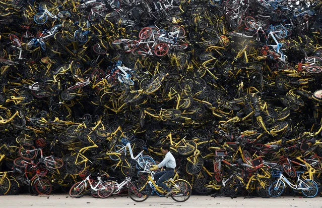 A worker rides a shared bicycle past piled-up shared bikes at a vacant lot in Xiamen, Fujian province, China December 13, 2017. (Photo by Reuters/China Stringer Network)