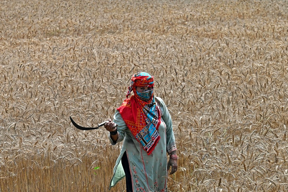 A Look at Life in Pakistan