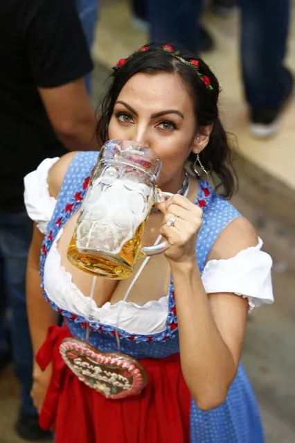 A visitor drinks beer during the opening day of the 183rd Oktoberfest in Munich, Germany, September 17, 2016. (Photo by Michaela Rehle/Reuters)