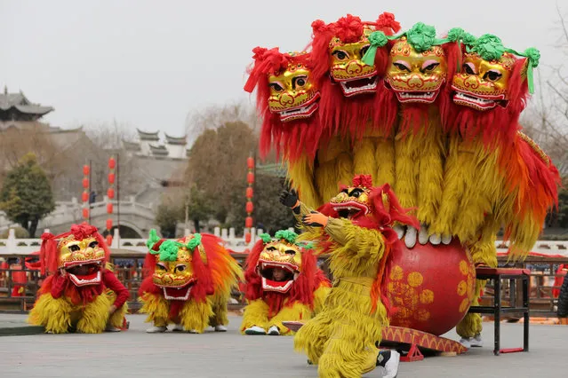Folk artists perform a lion dance ahead of the Chinese Lunar New Year, or Spring festival, at Taierzhuang Ancient Town scenic area in Zaozhuang, Shandong province, China February 10, 2018. (Photo by Reuters/China Stringer Network)