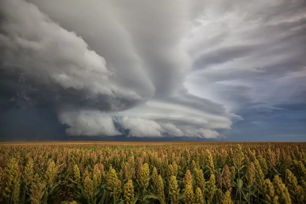 Apocalyptic Weather throughout 2014