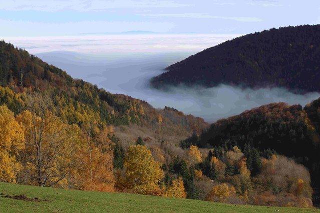 Late autumn colours in Vosges mountains mark a change in season in Rimbach in the Alsace region, Eastern France, November 3, 2015. (Photo by Jacky Naegelen/Reuters)