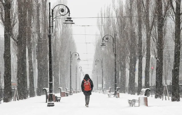 A man walks along a street amid a snowfall in central Kyiv, Ukraine on January 29, 2021. (Photo by Gleb Garanich/Reuters)