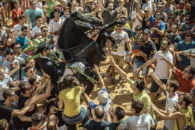 A “caixer” (horse rider) rears up on his horse surrounded by a cheering crowd during the traditional “Jaleo” at the “Saint Lawrence” Festival on Balearic Islands, Spain on August 12, 2018. (Photo by Matthias Oesterle/ZUMA Wire/Rex Features/Shutterstock)