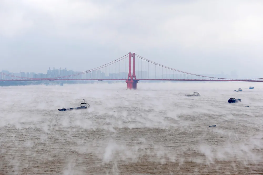 Simply Some Photos: Foggy Day