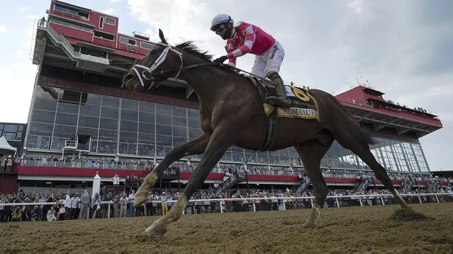 Flavien Prat atop Rombauer crosses the finish line to win the Preakness Stakes horse race at Pimlico Race Course, Saturday, May 15, 2021, in Baltimore. (Photo by Julio Cortez/AP Photo)