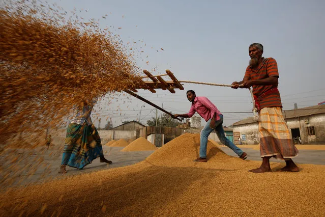 Bangladeshi workers dry rice at a rice-processing mill in Muktarpur, on the outskirt of Dhaka, Bangladesh, December 29, 2016. (Photo by Mohammad Ponir Hossain/Reuters)