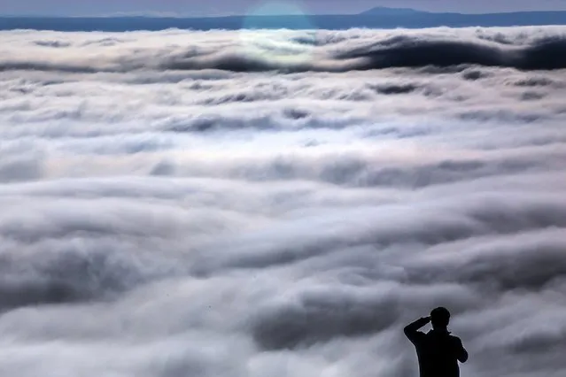 A man looks out across a vast bank of thick stratus clouds covering the Lewiston-Clarkston Valley during an inversion Thursday, December 21, 2023, at the top of the Lewiston Grade in Lewiston, Idaho. (Photo by August Frank/Lewiston Tribune via AP Photo)