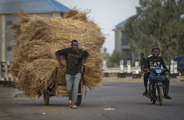 A manual laborer pulls a cart of hay as men drive past on a motorcycle, near the offices of the Independent National Electoral Commission in Kano, northern Nigeria Thursday, February 14, 2019. (Photo by Ben Curtis/AP Photo)