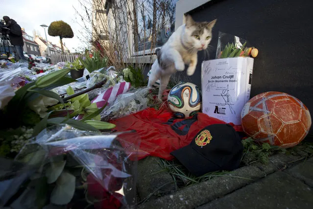 A cat jumps over a ball placed at a memorial site for deceased legendary soccer player Johan Cruyff in the neighborhood where he grew up in Amsterdam, Netherlands, Friday, March 25, 2016. Dutch soccer great Johan Cruyff, who revolutionized the game as the personification of “Total Football”, died Thursday. He was 68. (Photo by Peter Dejong/AP Photo)