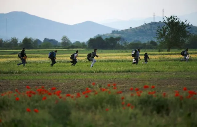 A group of Syrian immigrants run on a field towards Greece's border with Macedonia in Kilkis prefecture May 14, 2015. (Photo by Yannis Behrakis/Reuters)