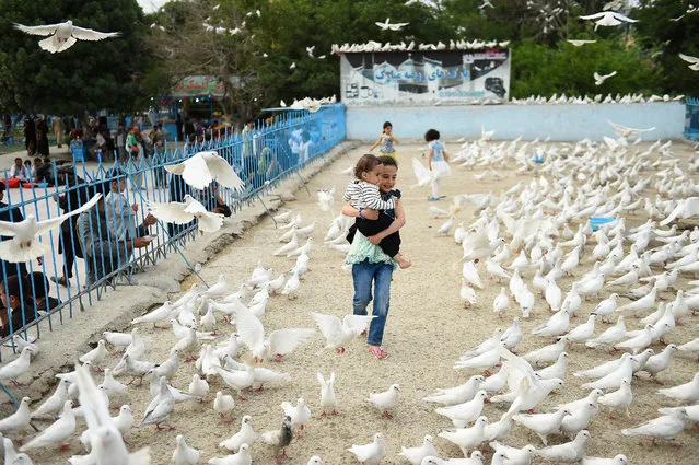 In this photo taken on April 14, 2019, an Afghan girl holds a baby as pigeons fly over in the courtyard of Hazrat-e-Ali shrine or Blue Mosque, in Mazar-i-Sharif. (Photo by Farshad Usyan/AFP Photo)
