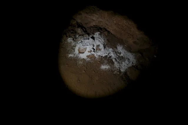 The ashes of the late Bob, “The English Quixote”, are seen scattered inside Montesinos cave, where Don Quixote descends in the second part of the novel, by the Ruidera lagoons, Spain, April 8, 2016. (Photo by Susana Vera/Reuters)