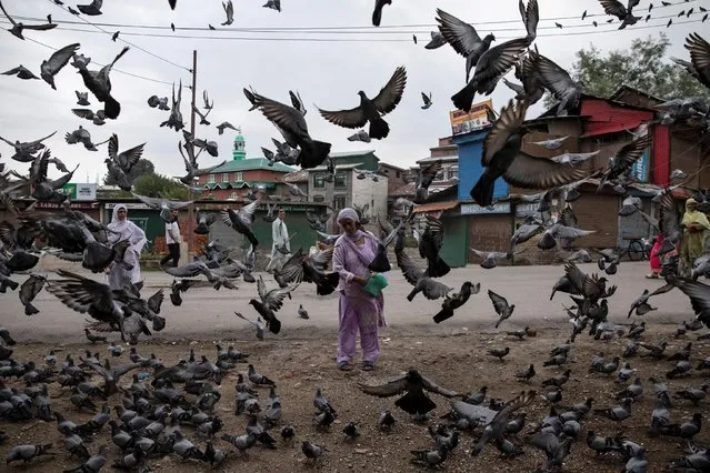 A Kashmiri woman feeds pigeons at a street during restrictions after the scrapping of the special constitutional status for Kashmir by the government, in Srinagar, August 11, 2019. (Photo by Danish Siddiqui/Reuters)