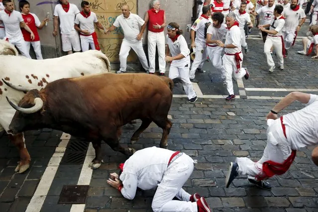 A runner falls next to a Jandilla fighting bull at the Mercaderes curve during the first running of the bulls of the San Fermin festival in Pamplona, northern Spain, July 7, 2015. (Photo by Susana Vera/Reuters)