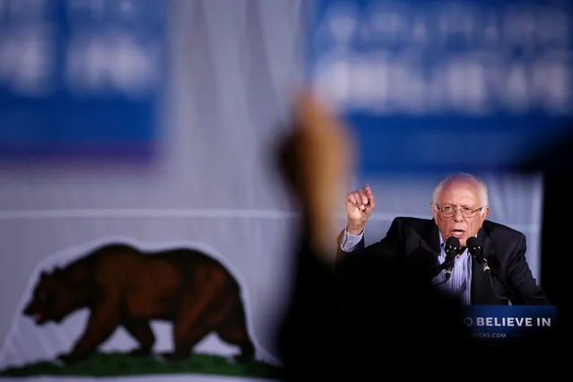 Democratic presidential candidate Bernie Sanders addresses supporters during a rally, May 21, 2016 in National City, California. (Photo by Sandy Huffaker/AFP Photo)