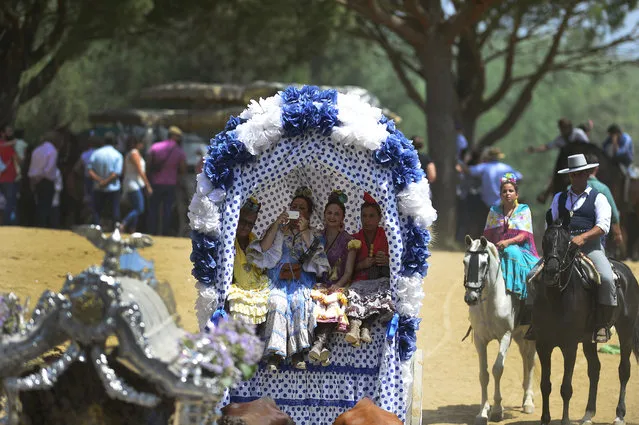 Pilgrims in traditional Rocio costumes sit in a wagon as they cross the Quema river during the annual El Rocio pilgrimage in Villamanrique, near Sevilla on June 1, 2017. (Photo by Cristina Quicler/AFP Photo)