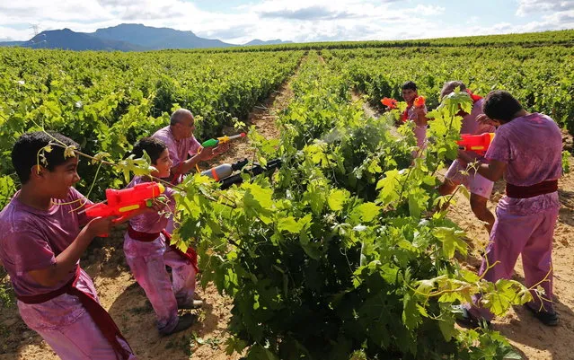 Revelers use toys to spray wine on each other as they take part in the “Battle of Wine” (La batalla del vino de Haro), a wine fight, during the Haro Wine Festival, in Haro, in the northern province of La Rioja on June 29, 2014. More than nine thousand locals and tourists threw around 130.000 litres of wine at each other during the Haro Wine Festival, according to local media. (Photo by Cesar Manso/AFP Photo)