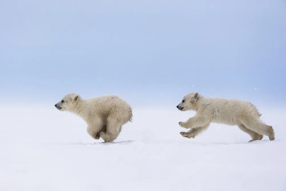 2014 National Geographic Photo Contest, Week 14, Part 2