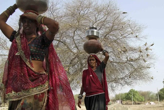 Women carry pitchers filled with drinking water in Devmali village in the desert state of Rajasthan, India, June 16, 2016. (Photo by Himanshu Sharma/Reuters)