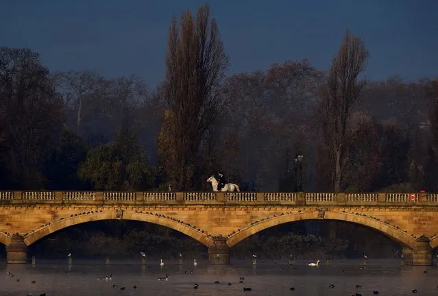 Horse riders cross a bridge over the Serpentine lake in Hyde Park, London, Britain, November 19, 2019. (Photo by Toby Melville/Reuters)