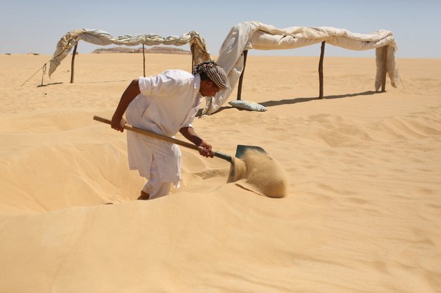 A worker digs fresh holes in the sand in front of small tents for patients who will take sand baths in Siwa, Egypt, August 12, 2015. (Photo by Asmaa Waguih/Reuters)