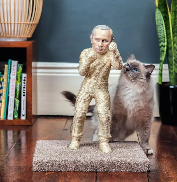 The claws are out for North Korean dictator Kim Jong-un and Russia's Vladimir Putin – as cats now able to use a model of him as a scratching post. And moggies can also maul at Russian president Vladimir Putin, whose face also features on the new cat toys which are 1.5ft tall and cost £4,500. They are made from hessian rope, and 3D-printed faces are then attached to the posts, before they are handpainted. The toys took a team of artists 200 hours to finish. (Photos by The Pussycat Riot)