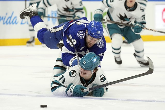 Tampa Bay Lightning left wing Brandon Hagel (38) knocks down San Jose Sharks center Macklin Celebrini (71) during the first period of an NHL hockey game Thursday, December 5, 2024, in Tampa, Fla. (Photo by Chris O'Meara/AP Photo)
