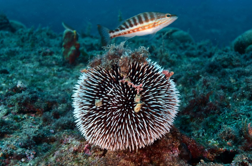 Some Photos: Waterworld