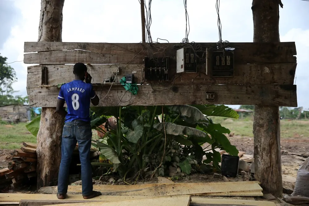 Trees, Planks and Sawdust – Logging in Nigeria