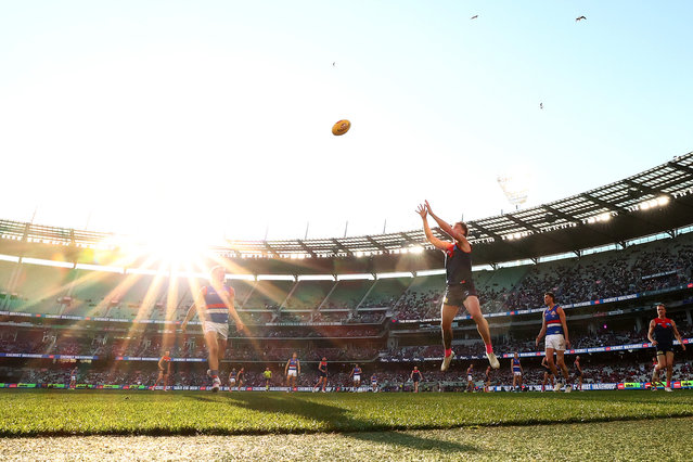 Trent Rivers of the Demons during the round 22 AFL match between Melbourne Demons and Western Bulldogs at Melbourne Cricket Ground on August 10, 2025 in Melbourne, Australia. (Photo by Morgan Hancock/Getty Images)