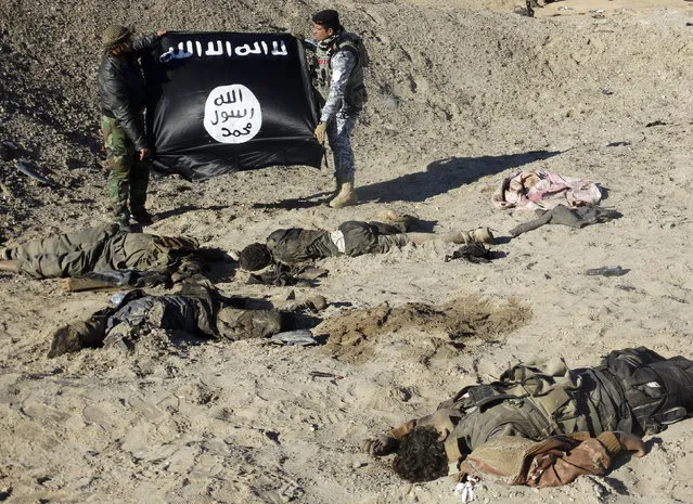 Iraqi security forces hold an Islamist State flag near the bodies of dead Islamic State members in the outskirts of Ramadi, December 23, 2014. (Photo by Reuters/Stringer)