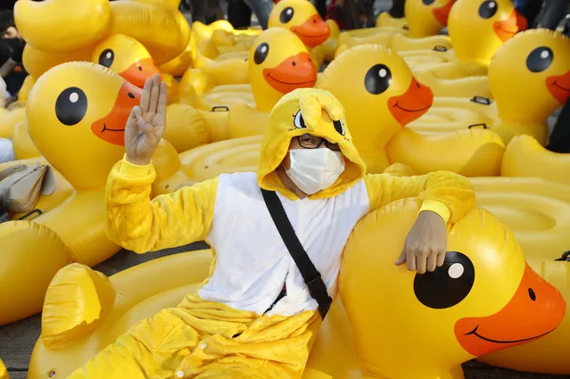 A protester flashes the three-finger protest gesture while wearing an outfit of a yellow duck, which has become a good-humored symbol of resistance during anti-government rallies, Wednesday, November 25, 2020, in Bangkok, Thailand. Thai authorities have escalated their legal battle against the students leading pro-democracy protests, charging 12 of them with violating a harsh law against defaming the monarchy. (Photo by Sakchai Lalit/AP Photo)