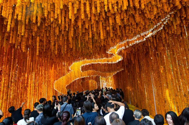 Thai and foreign people visit the “Flowers for Father” exhibition at the flower market in Bangkok, Thailand, 24 October 2017. About 400 meters of a flower tunnel made by the locals villager, vendors and volunteers are on display to pay final respects to the late King Bhumibol Adulyadej. The Flowers for Father exhibition will be held until 27 October 2017. The Royal Cremation ceremony of late King Bhumibol Adulyadej is scheduled on 26 October 2017, and the funeral will consist of five days of rites. King Bhumibol died at the age of 88 in Siriraj hospital on 13 October 2016 after 70 years on the throne. (Photo by Pongmanat Tasiri/EPA/EFE)