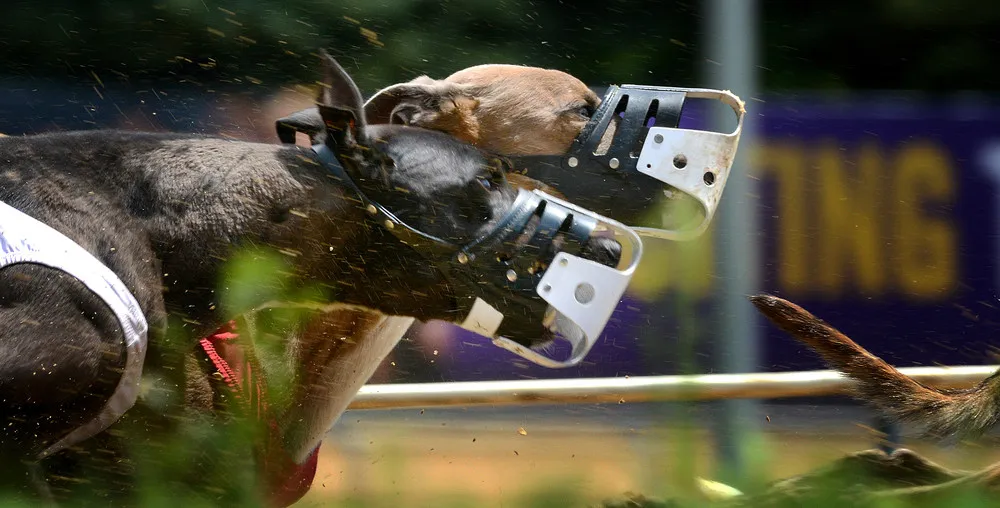 Best of The Washington Post Photography 2014