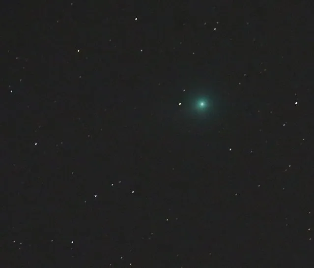 Comet Lovejoy, C/2014 Q2 is seen traveling though the starfield of the constellation Eridanus, near Orion on January 7, 2015, as seen from Tyler, Texas. The comet is giving off a green color and was closest to the Earth today, about 44 million miles away, but may continue to brighten over the next several days, and is visible in binoculars. (Photo by Dr. Scott M. Lieberman/AP Photo)