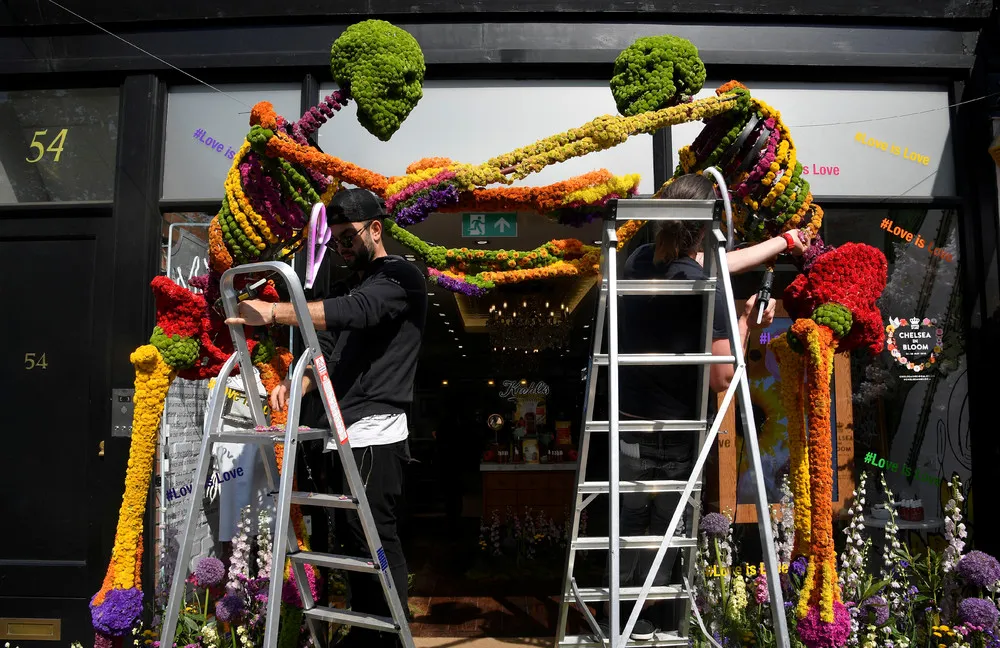 The Art of Flowers: RHS Chelsea Flower Show 2018
