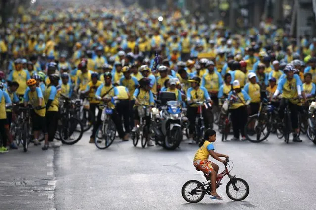 Cyclist take part in a “Bike for Dad” event in Bangkok, Thailand, December 11, 2015. Thousands of cyclists streamed through Bangkok on Friday to honour Thailand's revered but ailing king in an outpouring of loyalty that comes against a backdrop of an unprecedented crackdown on those perceived as critical of the monarchy. (Photo by Jorge Silva/Reuters)