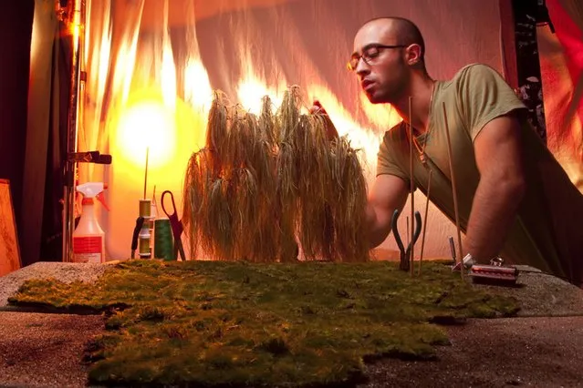 Matthew Albanese fixes the hand-dyed ostrich feathers willow tree for his piece called “New Life 1”. (Photo by Matthew Albanese/Barcroft Media)