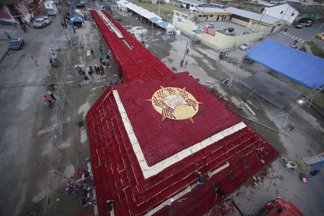 Locals work on placing roses on a structure made to resemble the Cochasqui pyramid temple as they try to impose a new category in the Guinness World Records as the biggest structure made with roses, in Tabacundo, Ecuador, Friday, July 20, 2018. Hundreds of volunteers helped and they will find out on Saturday if they have succeeded in achieving the record. (Photo by Dolores Ochoa/AP Photo)