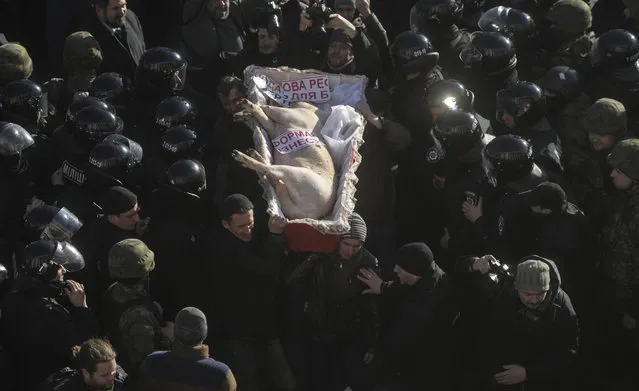 People carry a coffin with a pig inside, while walking through the lines of law enforcement officers during a protest by farmers and their supporters against possible changes in the state budget and tax regulations in the agricultural sector, currently considered by the authorities, outside the parliament headquarters in Kiev, Ukraine, December 24, 2015. (Photo by Andrew Kravchenko/Reuters)