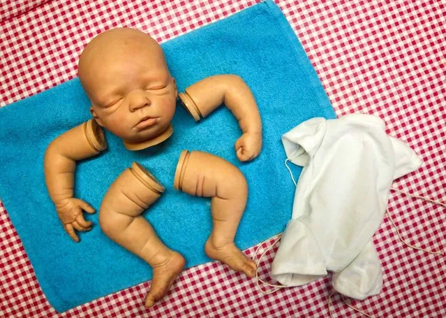A “Reborn Baby” kit is seen at Belgian artist Beatrice Van Landeghem's workshop, called “La nurserie des Tis Lous De Bea”, in La Louviere, Belgium, on August 9, 2013. The dolls are carefully crafted in vinyl, which have become popular with collectors, but also with grieving parents and nostalgic grandparents. The dolls are created from a kit composed with the limbs and head made from vinyl and a trunk made from fabric which are painted several times to create the skin tone of newborn babies. (Photo by Yves Herman/Reuters)