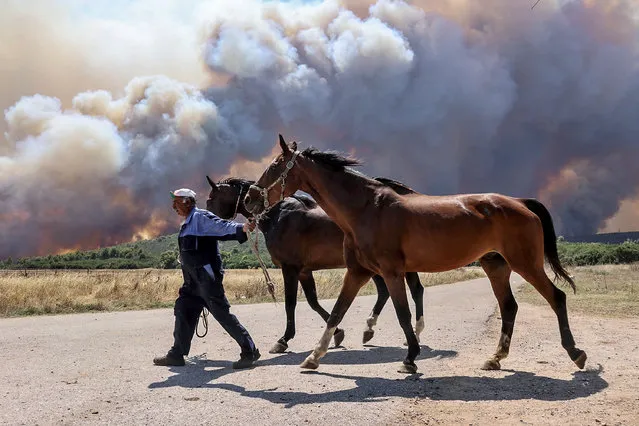 A man evacuates horses as a wildfire burns near the village of Pournari, Greece on July 18, 2023. (Photo by Giorgos Moutafis/Reuters)