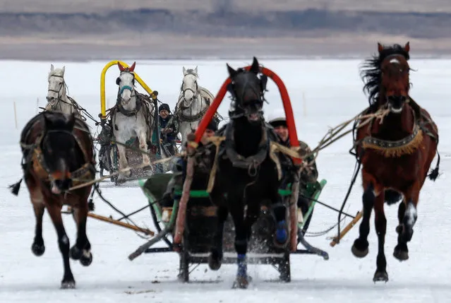 Russian Troikas, sledges drawn by three horses, compete on the ice-covered Yenisei River during the annual Ice Derby amateur horse race near the Siberian settlement of Novosyolovo, south of Krasnoyarsk, Russia March 16, 2019. (Photo by Ilya Naymushin/Reuters)