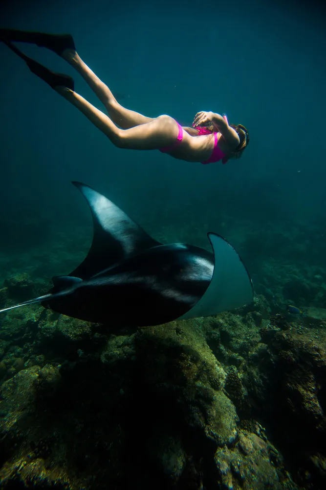 An Adventurer Swims with Manta Ray