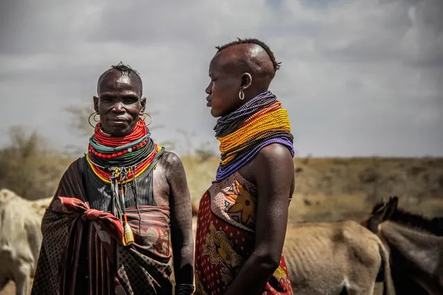 Turkana cattle herders travel from Kenya into Karamoja to find water for their cattle. Unlike the Karamojong, Turkana women also take part in this way of livelihood, Karamoja, Uganda, February, 2017. (Photo by Sumy Sadurni/Barcroft Images)