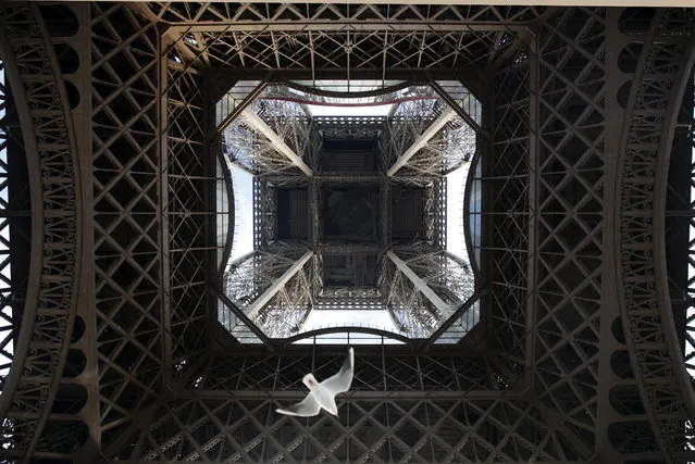 In this December 16, 2016 file photo, a seagull flies under the Eiffel Tower on the fourth day of the strike, in Paris. Tourism to Paris is showing signs of revival after a yearlong slump attributed to deadly extremist attacks, violent labor protests, strikes and floods, according to figures released Tuesday February 21, 2017. (Photo by Christophe Ena/AP Photo)
