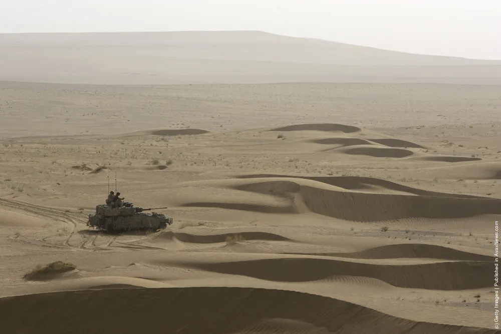 Tanks In The Wild Nature