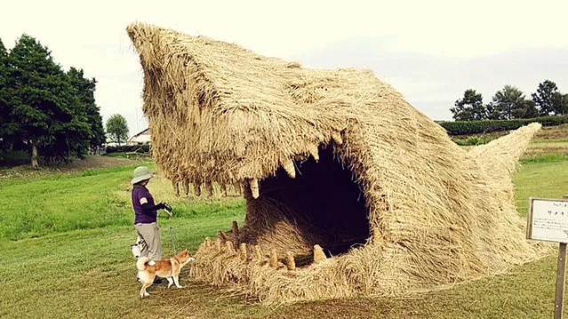 Straw Sculptures In Japan